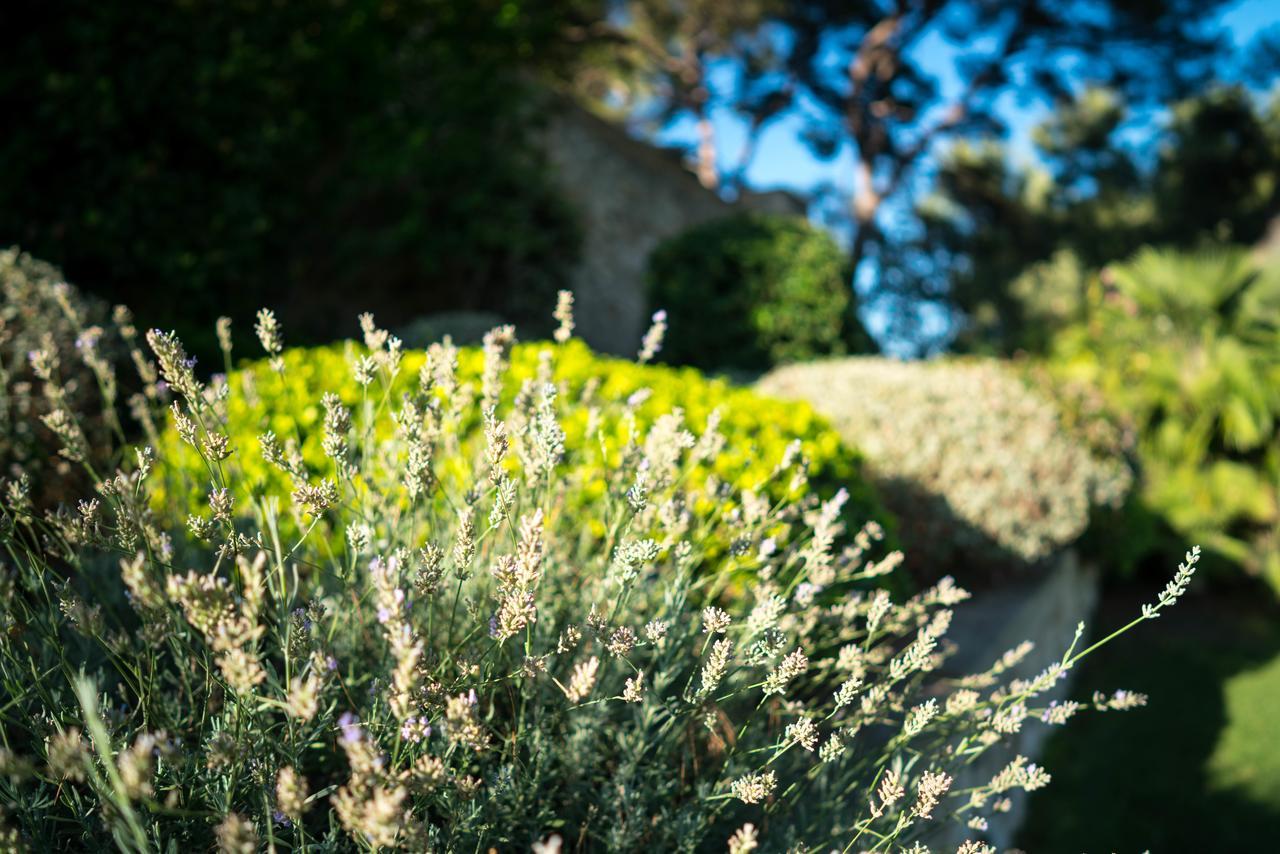 Domaine De Saint Clair Bed & Breakfast Aix-en-Provence Eksteriør bilde