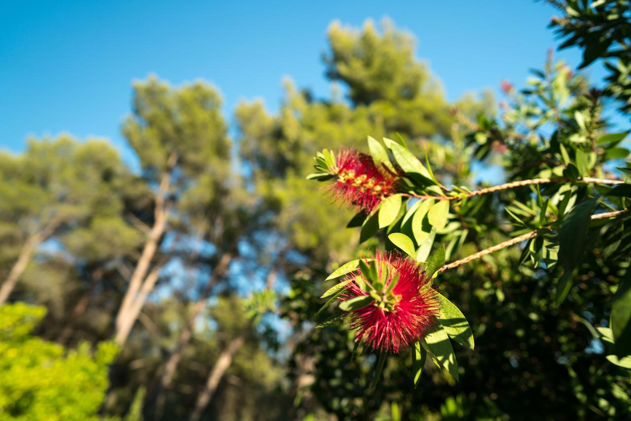 Domaine De Saint Clair Bed & Breakfast Aix-en-Provence Eksteriør bilde