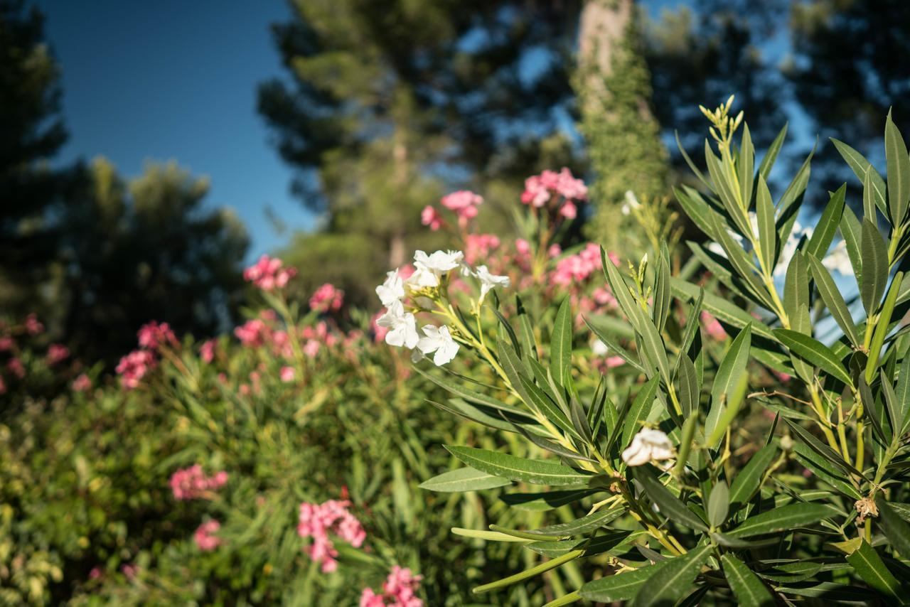 Domaine De Saint Clair Bed & Breakfast Aix-en-Provence Eksteriør bilde